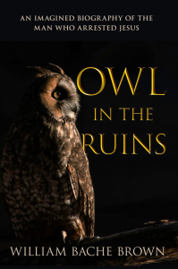 Owl in the Ruins Bill Bache Brown